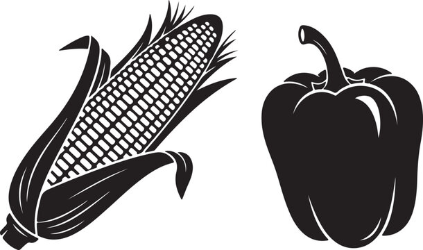 Black and White Corn Cob Illustration with Husk and Single Kernel Isolated on White Background