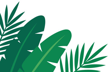 Tropical Banana and Palm Leaves Green Border Design Element © Designina