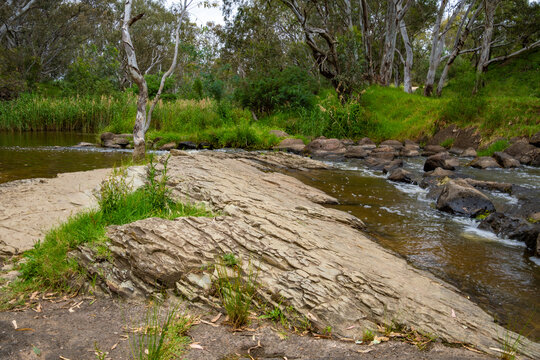 Maribyrnong river. Brimbank Park (Parks Victoria) Australia, Victoria, December 2025