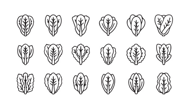 Collection of line art lettuce leaves in a grid pattern for healthy food concepts