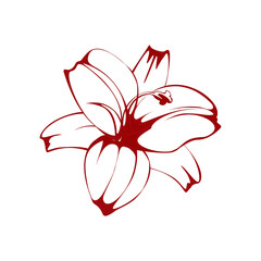 Naklejka premium Illustration of flower isolated