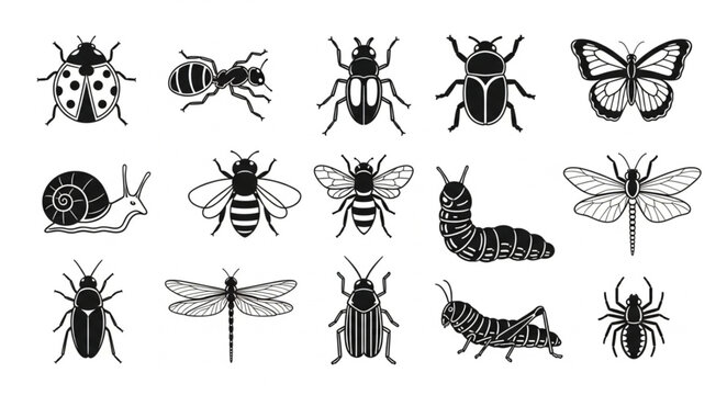 Collection of various insects and arthropods in black and white illustration.