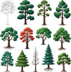 Fototapeta premium collection of trees