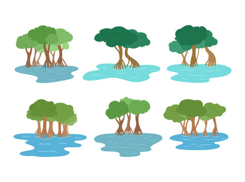 A collection of mangrove trees and wetland plant illustrations in various shapes and forms. Suitable for environmental posters, conservation themes, nature education, and coastal ecosystem designs.