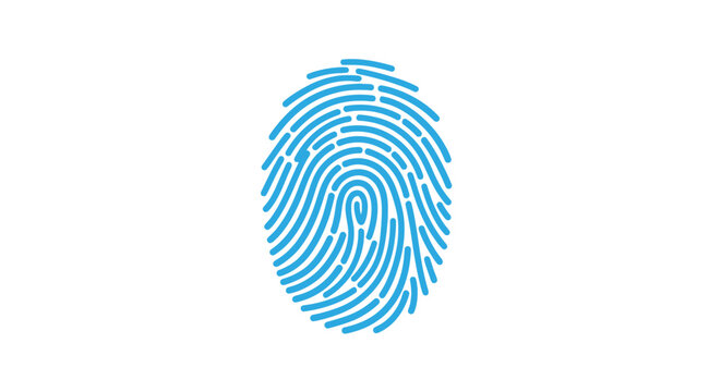 A stylized blue fingerprint illustration depicts unique patterns representing identification and personal security concepts