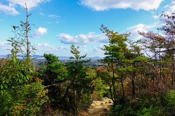 Fototapeta premium Forest mountain trail overlooking coastal city and sea on the Shikoku Henro pilgrimage route in Japan