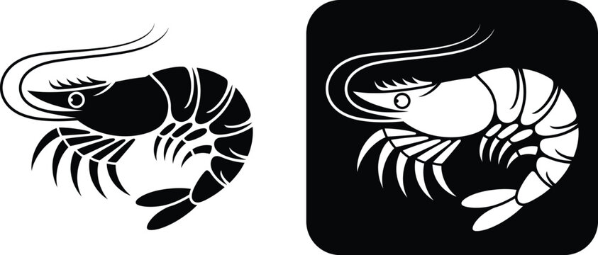 Black and white shrimp silhouette prawn seafood crustacean