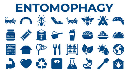 Entomophagy concept with icons representing insects food nutrition and health benefits for sustainable eating © Iconique Studio