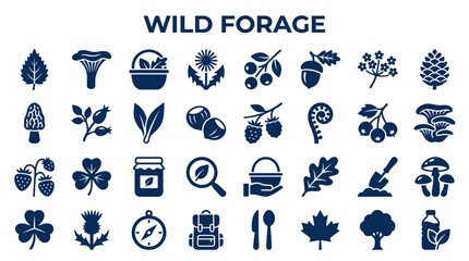 Wild foraging icons set for nature exploration and healthy eating with organic food gathering and outdoor adventure symbols © Iconique Studio