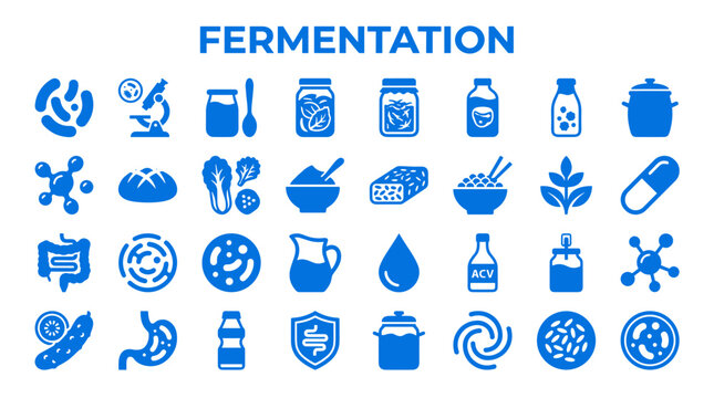 Fermentation icons set for food and health science representing probiotics, gut health, and organic food production with scientific and culinary elements