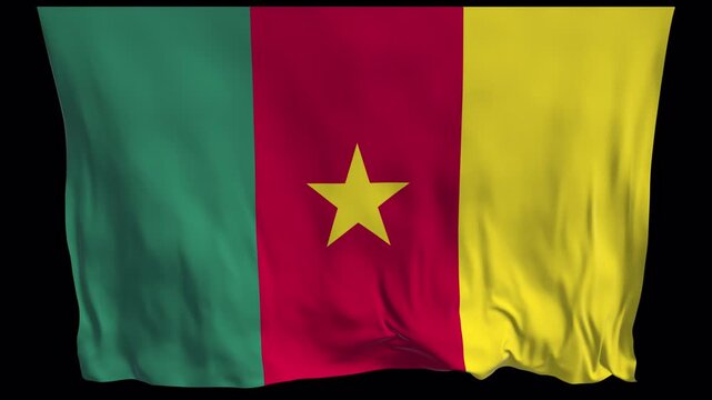 Cameroon flag waving in the wind. Cameroonian identity unity national pride. News visuals political topics international relations documentaries educational travel web banners Central Africa.