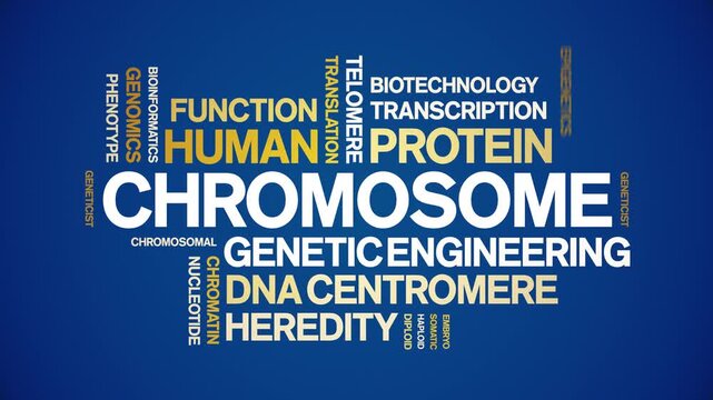 Chromosome animated word cloud-text design animation tag kinetic typography seamless loop.