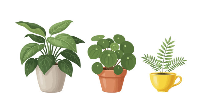 A charming illustration depicts three potted houseplants a peperomia pilea and fern high quality professional