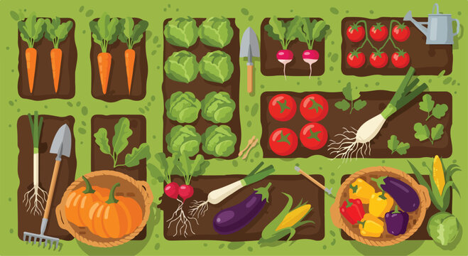 Colorful illustration of a vibrant vegetable garden