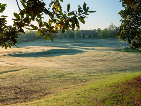 Morning Dew on the Robert Trent Jones Golf Trail in Alabama