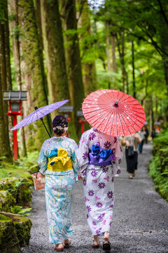 Back view of two women wearing Japanese yukata summer kimono and holding Japanese traditional oil paper umbrella in Kifune Shrine nature forest gate, Kyoto, Japan.