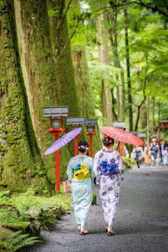 Back view of two women wearing Japanese yukata summer kimono and holding Japanese traditional oil paper umbrella in Kifune Shrine nature forest gate, Kyoto, Japan.