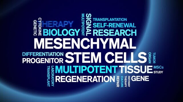 Mesenchymal Stem Cells animated word cloud-text design animation tag kinetic typography seamless loop.