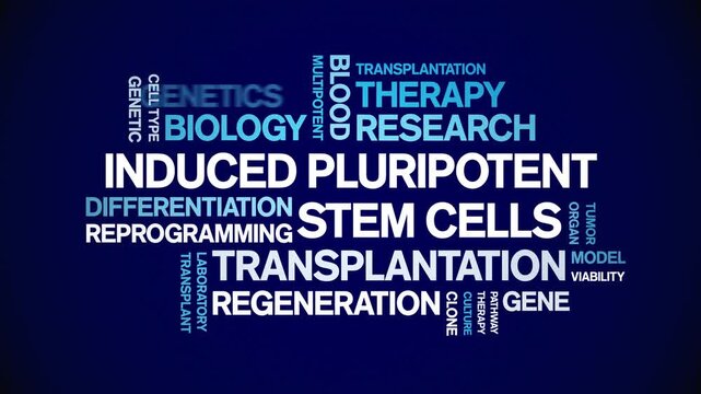 induced Pluripotent Stem Cells animated word cloud-text design animation tag kinetic typography seamless loop.