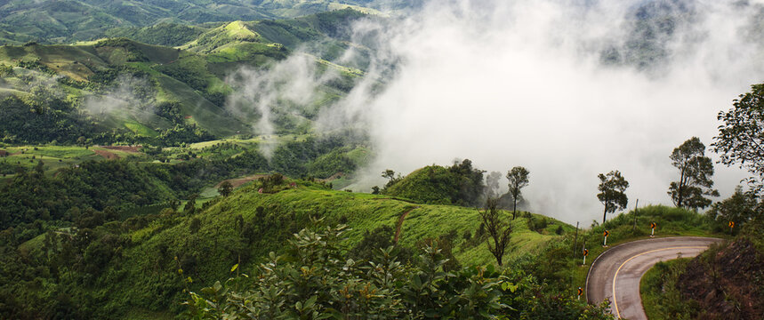 Misty mountain landscape with winding road through lush green hills in northern Thailand. Serene nature background with fog, scenic travel destination and peaceful outdoor environment