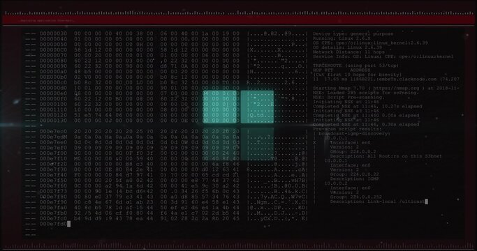 Displaying terminal hex dump with offset or ASCII columns, cyan highlights and log pane on dark scre