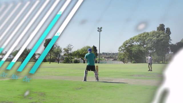 Sports keeper behind stumps, bowler bowling, batter hitting, running to score, charts sweeping play