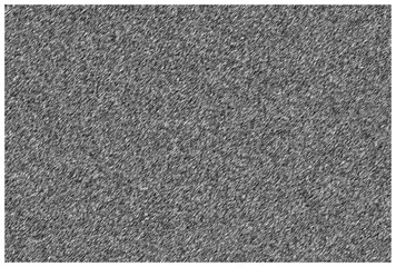 Fototapeta premium Static noise pattern a dense field of random black and white pixels