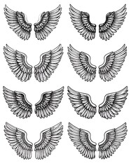 Obraz premium A set of eight symmetrical black and white wing illustrations