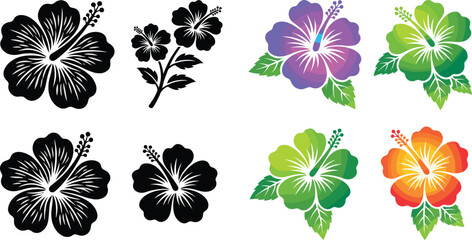 Set of tropical hibiscus flower vector illustrations featuring black silhouettes and colorful stylized designs isolated on white backgroundSet of tropical hibiscus flower © Arif Ahmed
