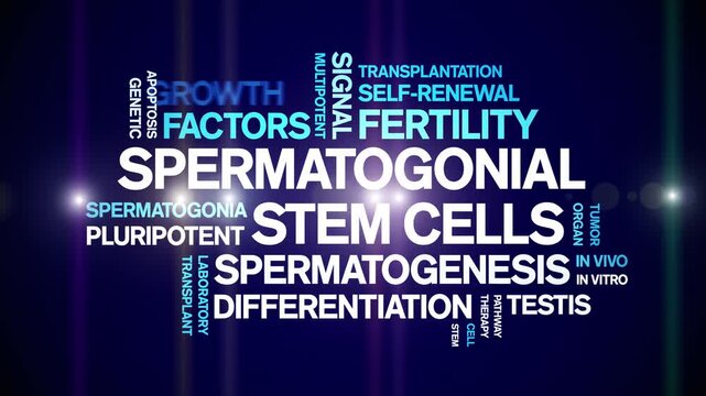 Spermatogonial Stem Cells animated word cloud-gross domestic product animation tag kinetic typography seamless loop.