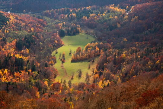 View of Kozi chrbat mountain ridge featuring a green meadow surrounded by vibrant autumn forest with orange and red foliage in Mostenica, Banska Bystrica Region, Slovakia.
