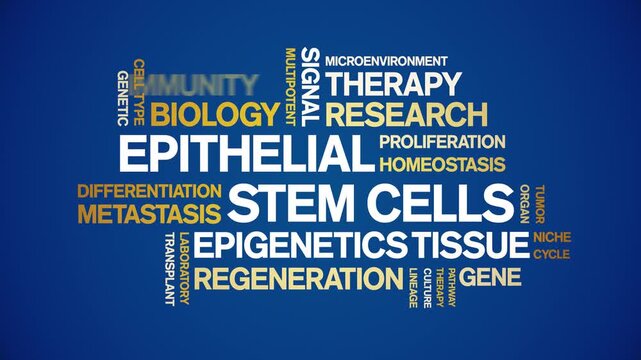 Epithelial Stem Cells animated word cloud-gross domestic product animation tag kinetic typography seamless loop.