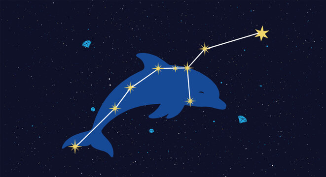 Stylized dolphin constellation graphic illustration on a dark blue starry night background with geometric diamond shapes and bright stars.
