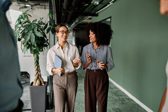 Portrait of two young business woman having a meeting or presentation and seminar standing in the office. Portrait of a young businesswoman talking