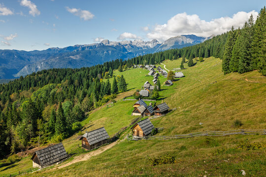 View of Planina Zajamniki featuring traditional wooden shepherd huts on a grassy mountain slope surrounded by pine forests and the Julian Alps Srednja vas v Bohinju, Radovljica, Slovenia.