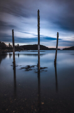 Three old rotting pilings along the shoreline of the Maine coast
