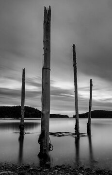Old pilings along the shoreline in Roque Bluffs, Maine