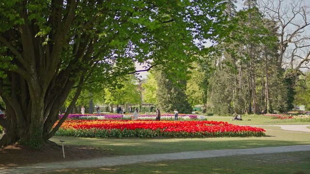 Tulip festival park with colorful flower beds and visitors.Filmed on 21 April 2026.