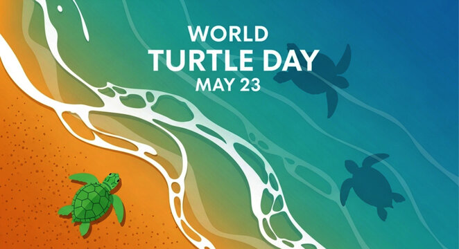 World Turtle Day May 23 Vector Illustration with Sea Turtle on Beach