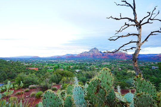 Breathtaking Panoramic View of Red Rocks from Airport Mesa in Sedona, Arizona - アリゾナ セドナ エアポートメサから望むレッドロックの絶景とパノラマ風景
