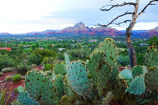 Breathtaking Panoramic View of Red Rocks from Airport Mesa in Sedona, Arizona - アリゾナ セドナ エアポートメサから望むレッドロックの絶景とパノラマ風景
