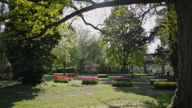 Tulip Festival Morges Switzerland spring park colorful flower garden.Filmed on 21 April 2026.