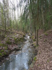 Obraz premium river in the forest