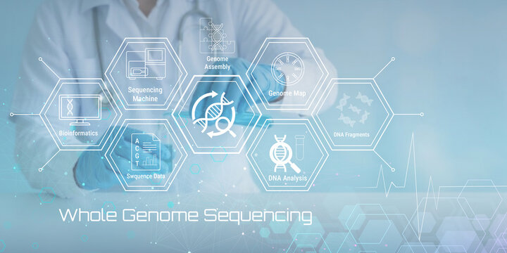 Modern whole genome sequencing process illustrated with DNA analysis technology and bioinformatics components