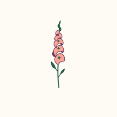 Foxglove Wildflower_ © Mahbub