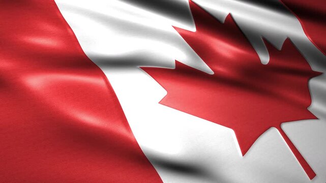 flag of canada looping