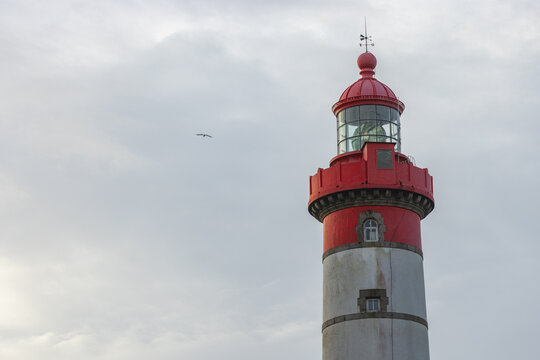 View of the Pointe Saint-Mathieu lighthouse with its red lantern room and stone tower under a cloudy sky with a bird flying in Plougonvelin, Brittany, France.