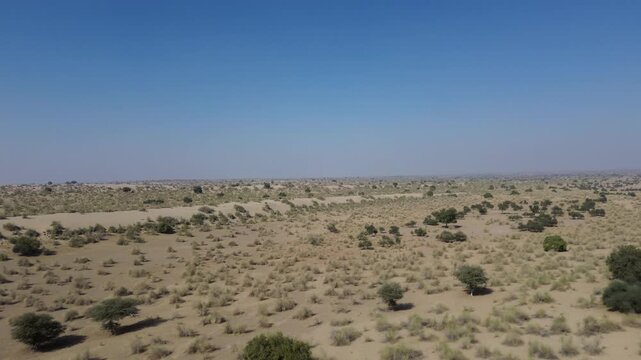 Thar desert drone shot Rajasthan