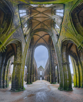 View of the interior of the ruined Pointe Saint-Mathieu abbey with moss-covered stone pillars and gothic vaulted arches under a cloudy sky in Plougonvelin, Brittany, France.