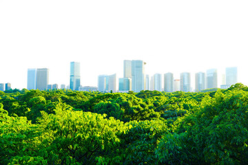 Fototapeta premium Modern city skyline rises behind a lush green forest canopy for sustainable urban development concept.
